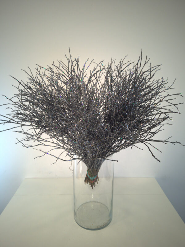 jagoda czarna z brokatem